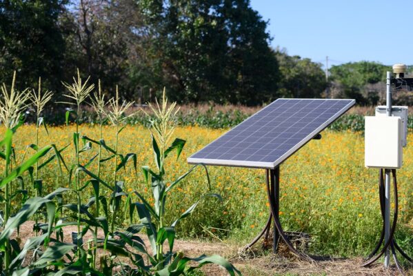 fotovoltaico e biodiversità