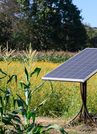 fotovoltaico e biodiversità
