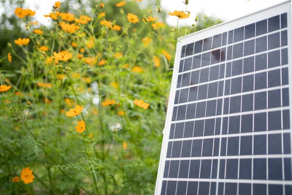 pannelli fotovoltaici organici